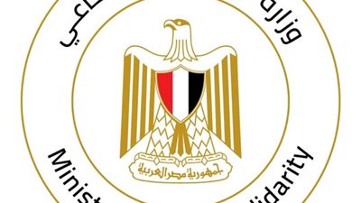 التضامن: تدخلات عاجلة لإنقاذ حالات بلا مأوى وإعادة أطفال إلى أسرهم