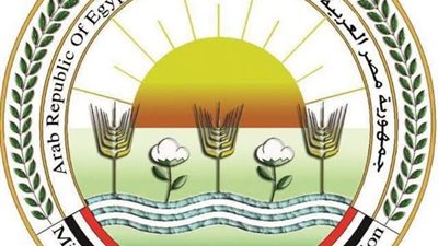 الزراعة تنفي انتشار الجلد العقدي: لا توجد بؤر وبائية وتحصين 4 ملايين رأس ماشية خلال 2026