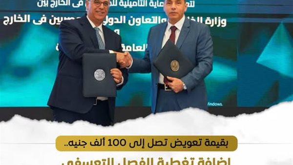 حماية أكبر للمصريين بالخارج    