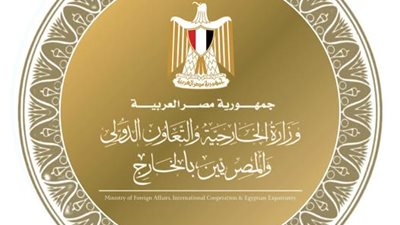 وزير الخارجية يبحث مع نظرائه في 4 دول عربية تطورات المنطقة وحادث ميناء دمياط