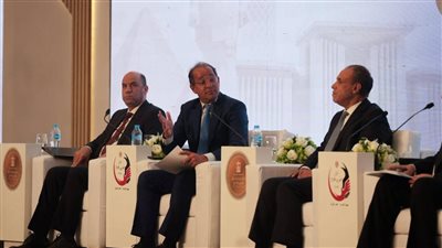 المالية تعلن صندوقًا استثماريًا للمصريين بالخارج ومنصة رقمية لتأسيس الشركات