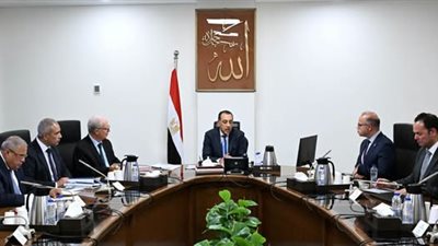 الحكومة تبحث نقل ملكية شركات حكومية لتعزيز كفاءة الأصول وتوسيع دور القطاع الخاص