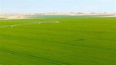 بريطانيا تخصص 65 مليون إسترليني لإنقاذ المزارعين من تداعيات الجفاف