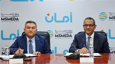 جهاز تنمية المشروعات المتوسطة والصغيرة