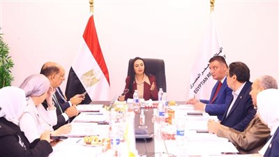الهلال الأحمر المصري يكشف حصاد عام من الإغاثة.. أرقام ضخمة لدعم غزة