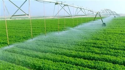 الزراعة تكشف حصاد 2025-2026.. 10.5 مليون فدان المساحة المنزرعة و9.5 مليون طن صادرات