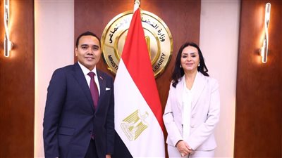 مصر وسنغافورة تبحثان تعزيز التعاون في الحماية الاجتماعية والعمل الإنساني