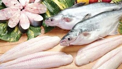 قليلة الأشواك ومطلوبة عالميًا.. لماذا تراهن مصر على أسماك الباسا؟