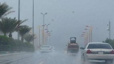 أسعار السكر تسجل أعلى مستوى في 19 شهرا.. الأمطار والنينو يهددان السلع الاستراتيجية بالبرازيل