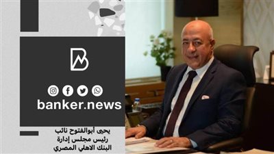 أبو الفتوح: تغطية الاعتماد 100% في حالة استيراد السيارات كاملة الصنع 