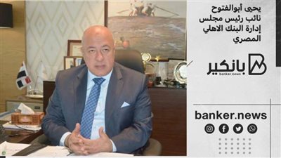 أبو الفتوح: فتح الاعتماد بدون أي تأمينات نقدية من الصناع أو الفئات المستثناة