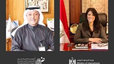وزيرة التعاون الدولي تبحث التعاون مع مدير المؤسسة العربية لضمان الاستثمار