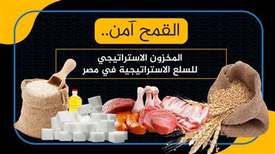 القمح آمن.. المخزون الاستراتيجي للسلع الاستراتيجية في مصر| انفوجرافيك 