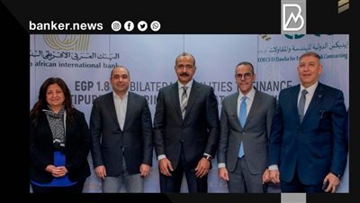 1.800 مليار جنيه من العربي الإفريقي الدولي لتمويل محطة متعددة الأغراض بميناء الدخيلة