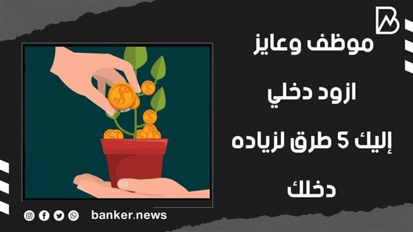 طرق تعزيز مصادر الدخل