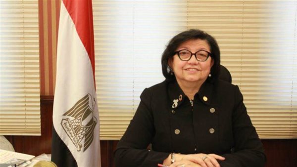 لميس نجم مستشار محافظ