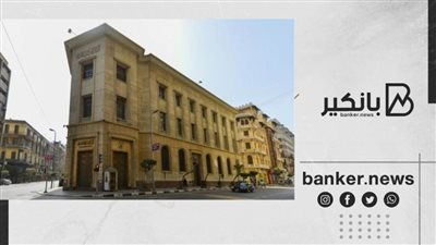 المركزي يقرر استثناء واردات الاستخدام الخاص من سداد قيمتها بطرق الدفع المعتمدة مصرفيا