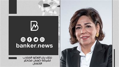 ضمان مخاطر الائتمان تواصل دعمها للاقتصاد.. محفظة الشركة تساهم بـ2.8% من الناتج المحلي