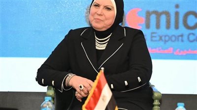 وزيرة التجارة: 83 فرصة استثمارية لتصنيع منتجات محلية بدلاً من استيرادها
