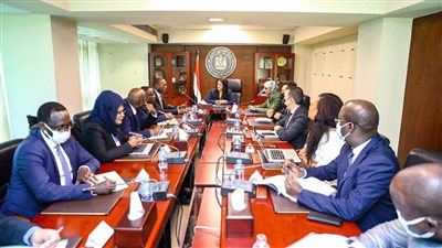 بنك التنمية الأفريقي: ملتزمون بالتعاون مع مصر لاستكمال جهودها التنموية وتنظيم قمة المناخ المقبلة