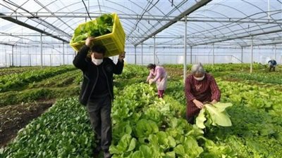 في عيدها القومي.. 