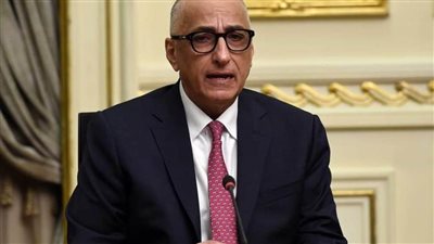 قرارات البنك المركزي هدفها الحفاظ على المقدرات المالية لمصر وسيولة النقد الأجنبي
