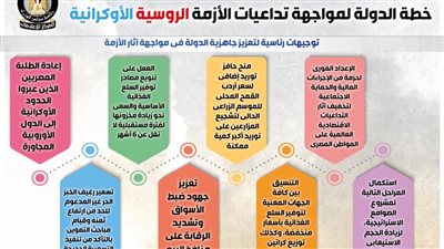  خطة الدولة لمواجهة تداعيات الأزمة الروسية الأوكرانية