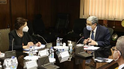 بنك الإستثمار الأوروبي يؤكد الرغبة في زيادة التعاون مع مصر بمشروعات الطاقات المتجددة