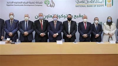 20.5 مليون جنيه قرض من البنك الأهلي المصري لإحدى شركات الـ1.5 مليون فدان بسيوة