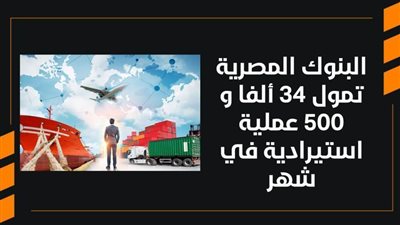 البنوك المصرية تمول 34 ألفا و500 عملية استيرادية في شهر | فيديو 
