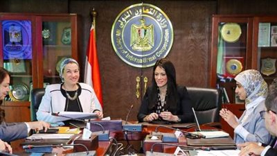 المشاط: تنوع مقترحات بنوك الدولي والتنمية الأفريقي والأوروبي لدعم جهود التحول الأخضر