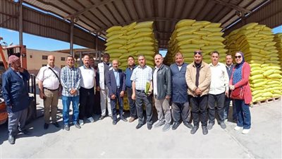 الزراعة: اهتمام كبير بملف إنتاج التقاوى لمواكبة النهضة الزراعية