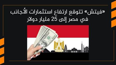 «فيتش» تتوقع ارتفاع استثمارات الأجانب في مصر إلى 25 مليار دولار | فيديو 