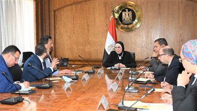 وزيرة التجارة تبحث مع وفد شركة ألمانية لتصنيع كابلات السيارات سبل الاستثمار في مصر