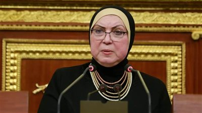 نيفين جامع: 9 مليارات و176 مليون دولار قيمة الصادرات السلعية بالربع الاول من 2022 بزيادة 20%