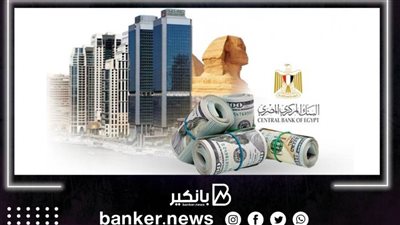 يعني ايه احتياطي نقدي؟ .. و اية فايدته ؟ 