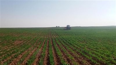 البنك الأهلي المصري و عشرة بنوك يتيحون تمويل مشترك بمبلغ 12.5 مليار جنيه لصالح شركة القناة للسكر