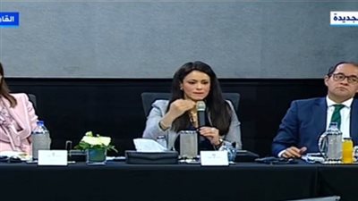 المشاط:على مدار عامين حصل القطاع الخاص على 4.8 مليارات دولار تمويلات تنموية