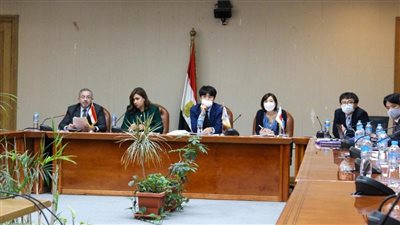 المالية: تحقيق حلم المصريين في الرعاية الصحية الشاملة بخبرات يابانية
