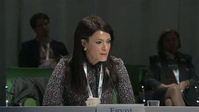 المشاط: دور كبير للمؤسسات الدولية لتحفيز المشاركة في تمويل المناخ وحشد الاستثمارات