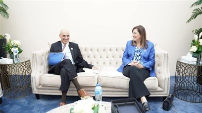 رئيس البنك الإسلامي للتنمية: 17.8 مليار دولار حجم التدخلات في مصر