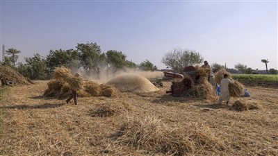 مصر تحصل على 600 مليون دولار من البنك الدولي والاتحاد الأوروبي لدعم واردات وصوامع القمح