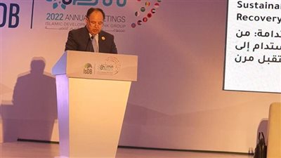 وزير المالية:التخارج من بعض الأنشطة الاقتصادية.. لتمكين القطاع الخاص من قيادة مسيرة التنمية