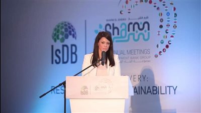 المشاط: منتدى مصر للتعاون الدولي يجمع وزراء المالية الأفارقة لوضع رؤية موحدة حول التحول الأخضر