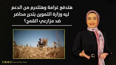 هتدفع غرامة وهتتحرم من الدعم.. ليه وزارة التموين بتحرر محاضر ضد مزارعي القمح؟