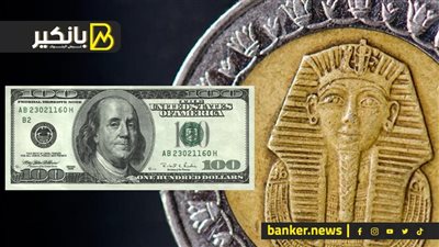 الجنيه المصري يتراجع أمام الدولار ويقترب من أدني مستوياتة في 5 سنوات