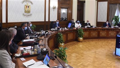 رئيس الوزراء: توطين صناعة الدواء أولوية قصوى للدولة المصرية