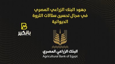 جهود البنك الزراعي المصري في مجال تحسين سلالات الثروة الحيوانية