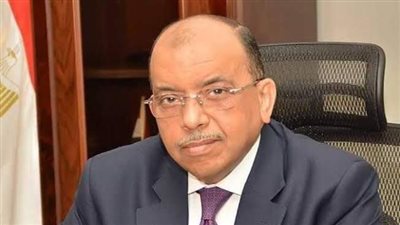 شعراوي: تمويل 3189 مشروعا باستثمارات 36.6 مليون جنيه من خلال صندوق التنمية المحلية