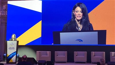 المشاط: التعاون متعدد الأطراف وآليات التمويل المبتكر لمواجهة التحديات